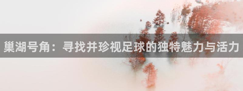 巢湖号角：寻找并珍视足球的独特魅力与活力
