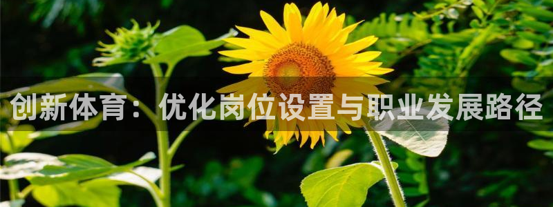 创新体育：优化岗位设置与职业发展路径