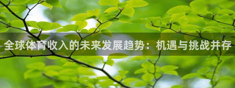全球体育收入的未来发展趋势：机遇与挑战并存