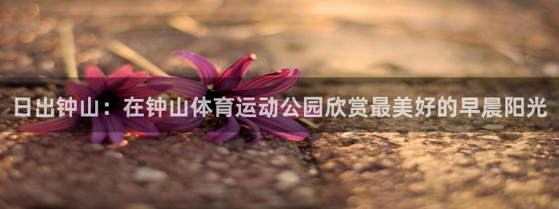 日出钟山：在钟山体育运动公园欣赏最美好的早晨阳光