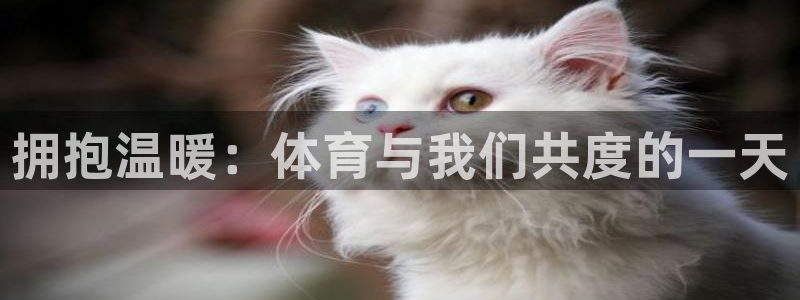 拥抱温暖：体育与我们共度的一天