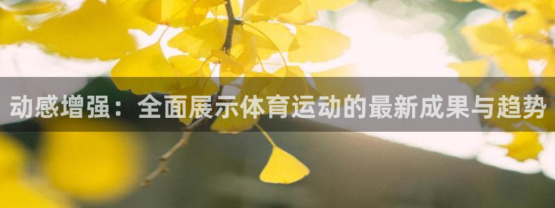 动感增强：全面展示体育运动的最新成果与趋势
