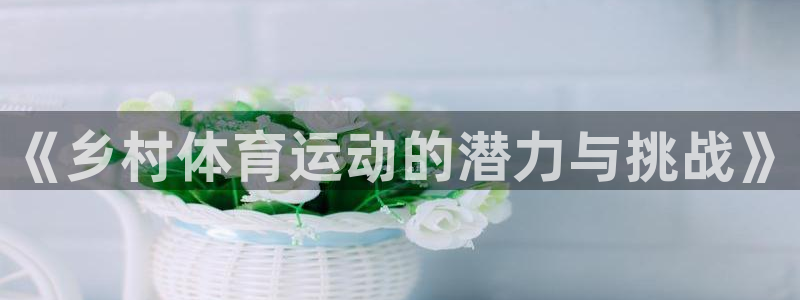 《乡村体育运动的潜力与挑战》