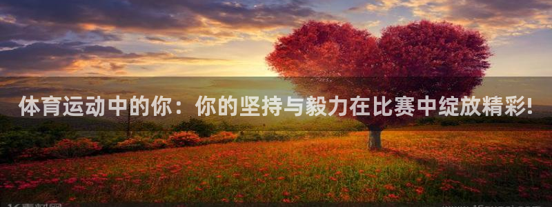 体育运动中的你：你的坚持与毅力在比赛中绽放精彩!