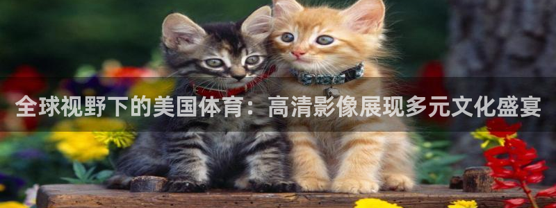 全球视野下的美国体育：高清影像展现多元文化盛宴
