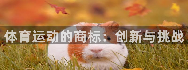 体育运动的商标：创新与挑战