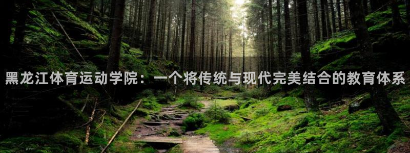 黑龙江体育运动学院：一个将传统与现代完美结合的教育体系