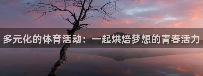多元化的体育活动：一起烘焙梦想的青春活力