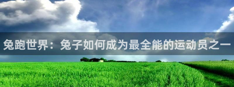 兔跑世界：兔子如何成为最全能的运动员之一