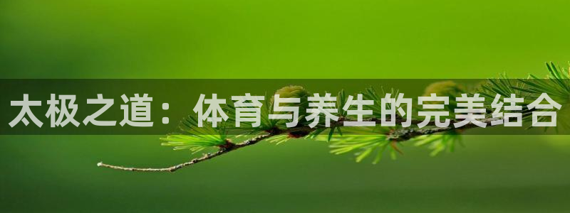 太极之道：体育与养生的完美结合